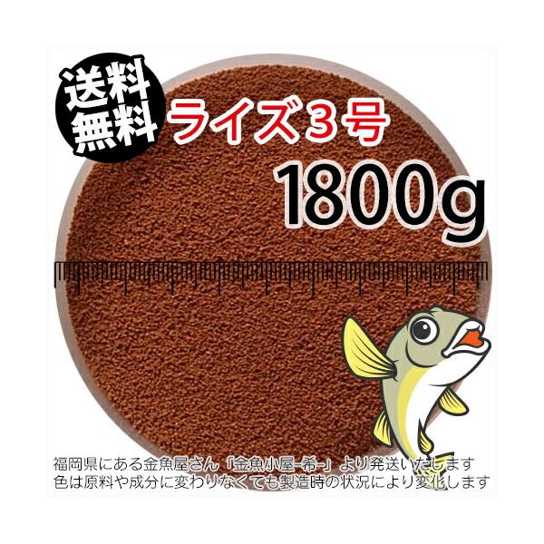 送料無料 メール便kkg 日清丸紅飼料ライズ3号 粒径0 36 0 65mm 2kg メダカのごはん 稚魚の餌 グッピーのエサ 金魚小屋 希 福岡 Buyee Buyee Japanese Proxy Service Buy From Japan Bot Online