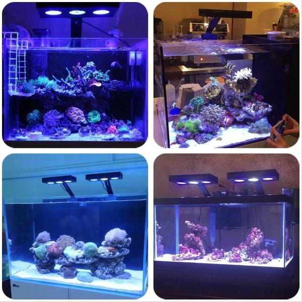 100 品質 Ledアクアリウムライト アクアリウムledライトサンゴ礁 魚飼育ナノ水槽用のタッチコントロール付き30w海水照明および3w Cree 土曜も営業中