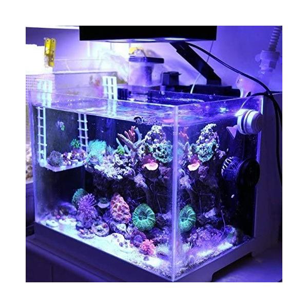 100 品質 Ledアクアリウムライト アクアリウムledライトサンゴ礁 魚飼育ナノ水槽用のタッチコントロール付き30w海水照明および3w Cree 土曜も営業中