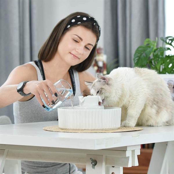 即日発送 V Dank ペット給水器 犬 猫 自動給水器 セラミックス 水飲み器 陶器製 超静音 2l 大容量 循環式 活性炭フィルター ペット 浄水 ヘルスケア 介護用品 Tomartrust Org