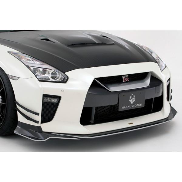 VARIS oX Y R35 GT-R f17 Ver. tgX|C[ J[{ [^: VANI-234 ]