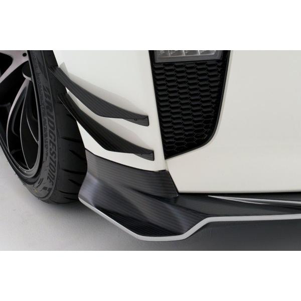 VARIS バリス 日産 R35 GT-R '17 Ver. カナード for ノーマル BP