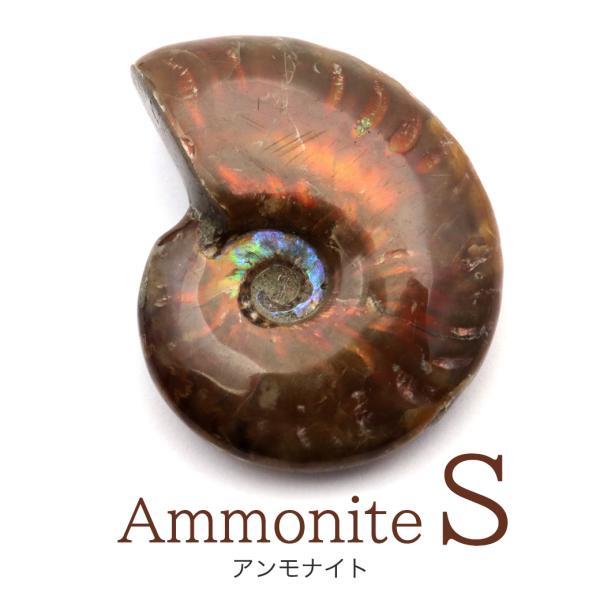 マダガスカル アンモナイト 遊色 極上 大サイズ 鉱物 標本 化石 GOLD STONE アンモナイト 化石 遊色効果 マダガスカル産 ポリッシュ S