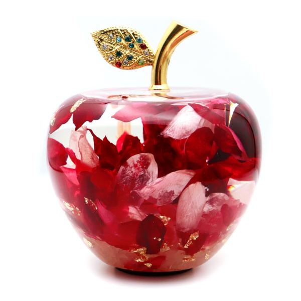 n[oE S KX u  VR  N ь Abv t  K K^ hV̓ 蕨 v[g Mtg 蕨