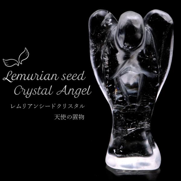 AV[h Vg q[O GWF VR  VR uW oC[AY Xs`A NX^  1 v[g Mtg 蕨 hV̓