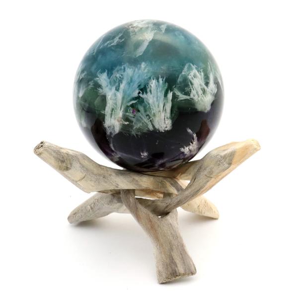 GWFtFU[ t[Cg ۋ a 67mm ؐt u VR 1_ hV̓ 蕨 v[g Mtg 蕨