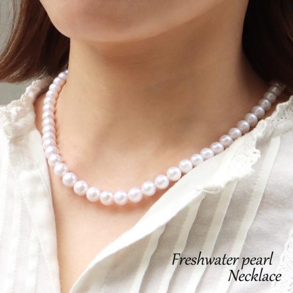 VRWp[ ^lbNX Eh^ AA zCg 8mm 40cm 6 a  w  LO 蕨 P[Xt hV̓