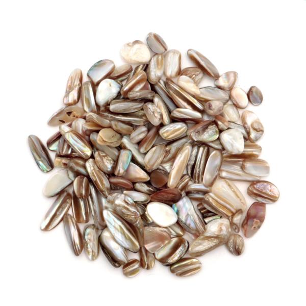 ◆100gでのお届けになります。◆MIX シェル本商品はアバローニ貝やマザーオブパール等の貝のミックスしたものです。シェルは古くから魔除け、厄除けのお守りとして、また装飾品として人々に親しまれてきました。また、傷ついた心を優しく包み、癒して...