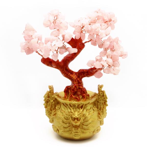 goldstone_shouzaiju-2