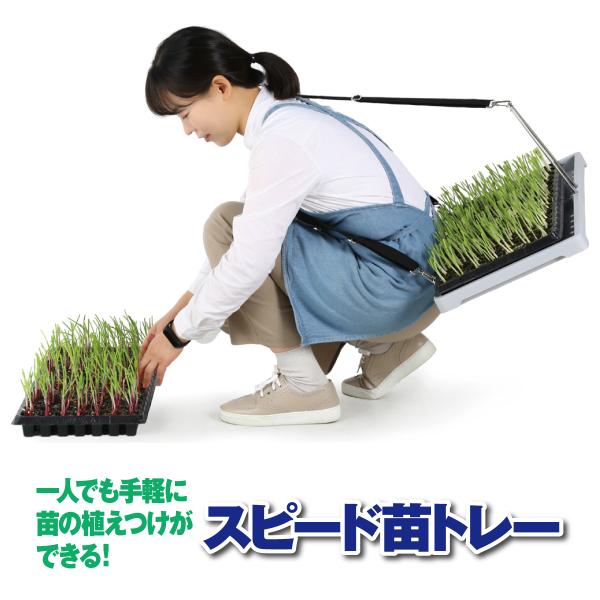 特許技術 スピード苗トレー 運搬 苗 種まきトレー 植え付け 農作業 肩紐 作業効率 両手が使える
