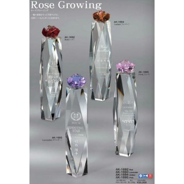 [YO[EBOAK-1692 bh 245×50×501.20\EgtB[EJbv