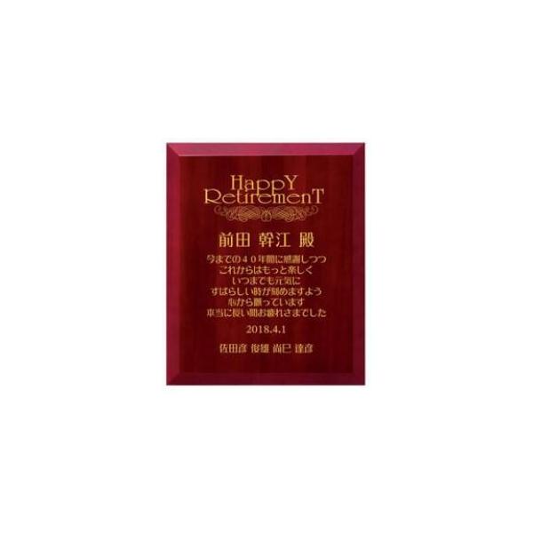 yWINz[U| AK-1771 C^Cv270×225×15 445g\EgtB[EJbv