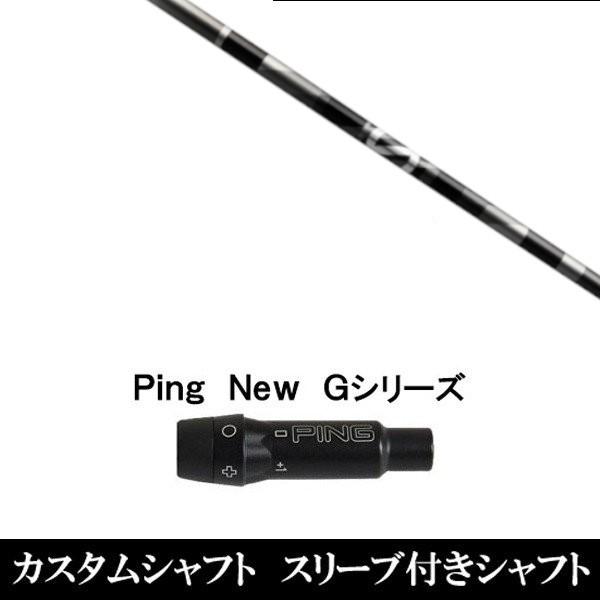 Vi X[utVtg Ot@CgfUC A` OreB aG33 s PING G440 G430 G425 G410V[Yp X[u hCo[p