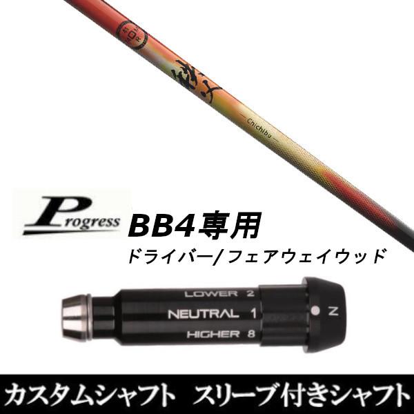 X[utVtgVi X[utVtg Ot@CgfUC  chichibu Progress vOX BB4 hCo[ FWp X[u X[u񏃐