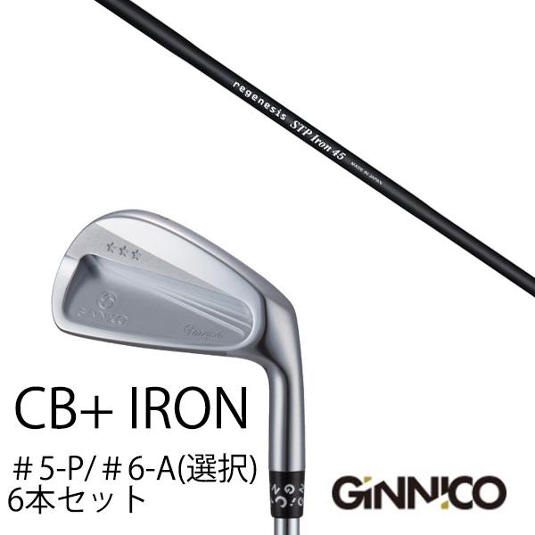 6本セット / イオンスポーツ ジニコ GINNICO CB+ Iron #5-P ＃6-A 番手
