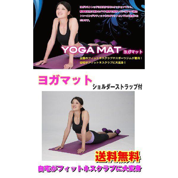 IDEAL BODY ACfBA{fB  K}bg@IBFG-3704@jp