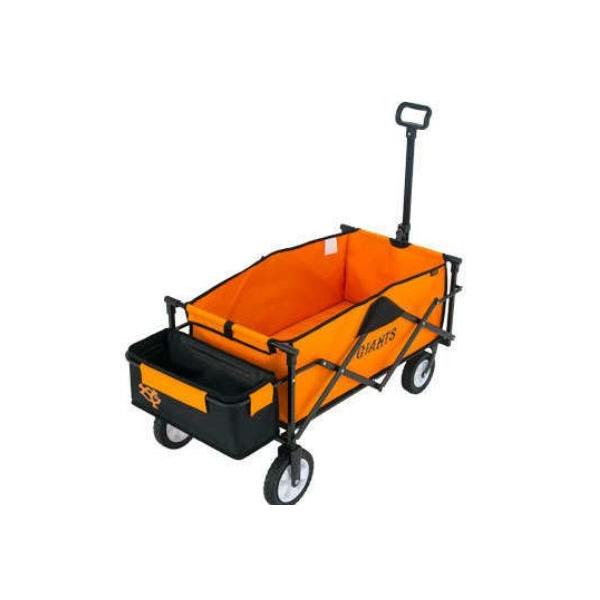 LEZAX�@���U�b�N�X �ǔ��W���C�A���c  �L�����[���S�� YGCG-8780