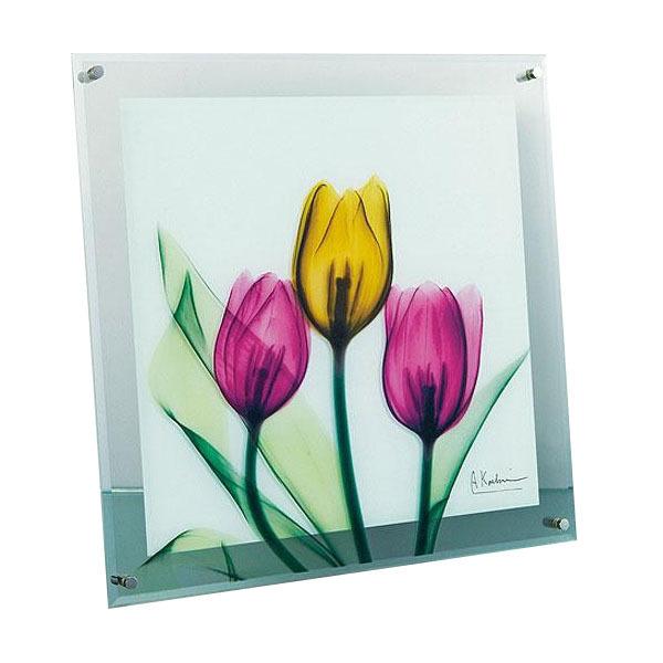 取寄 X Ray ガラス アート チューリップ Mサイズ Xr Ab ゴルフショップセブンgolf7 通販 Yahoo ショッピング