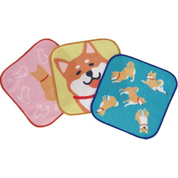 小さなポケットにも楽々入る、可愛い柄の3枚セット●ミニタオル3枚●綿55％・ポリエステル45％●現品約16×16ｃｍタイプ：しば犬42309313