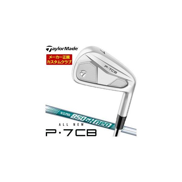 TaylorMade（テーラーメイド） 特注カスタムクラブ P7CB アイアン N.S.