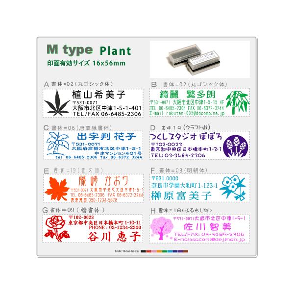 fW͂ A  ZX^v Mtype Zŕ[CNt 16x56ł̐ł 掿 I[_[X^v ł