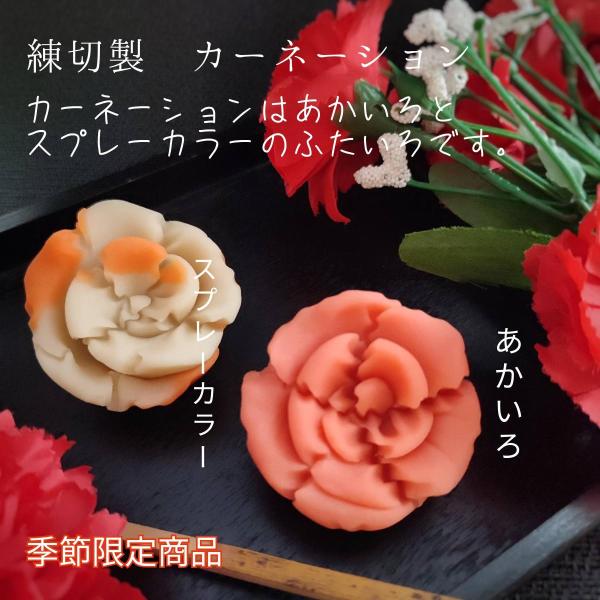 母の日 花 カーネーション 練り切り製 母の日限定上生菓子 個包装1個 12個以上でご注文可 Buyee Buyee 日本の通販商品 オークションの代理入札 代理購入