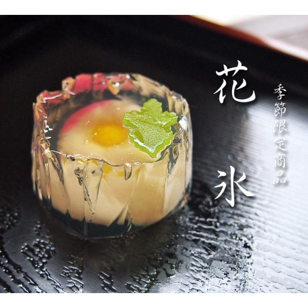 錦玉 練り切り 水中花 上生菓子 花氷 はなこおり 個包装 1個 12個以上でご注文可 Buyee Buyee 日本の通販商品 オークションの代理入札 代理購入