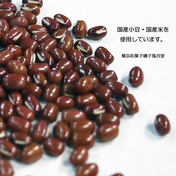 上生菓子 朝顔 あさがお 練り切り ピンク 個包装 1個 Buyee Buyee 日本の通販商品 オークションの代理入札 代理購入