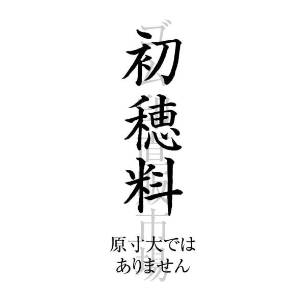 初穂料 楷書 のし上用 スキナスタンプ Buyee Buyee 日本の通販商品 オークションの入札サポート 購入サポートサービス