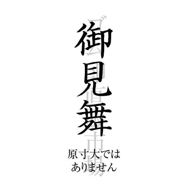 御見舞 楷書 のし上用 スキナスタンプ Buyee Buyee Japanese Proxy Service Buy From Japan Bot Online