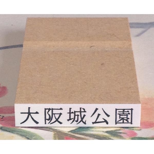 �S����E���R�O�~���܂ŁA�����̍���5.5�~���i15.5�|�C���g�����j�t���[�T�C�Y�P�s�� ���i�摜