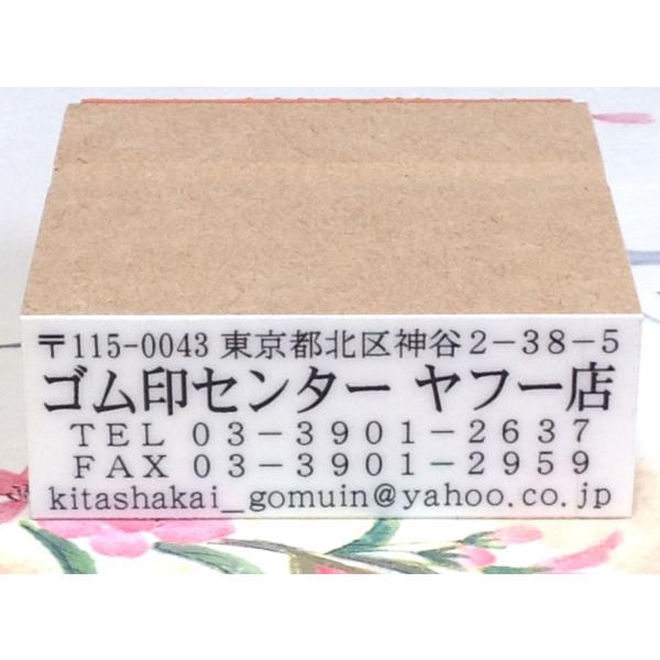 ゴム印・複行印、縦２２ミリ、横６０ミリ　のべ台