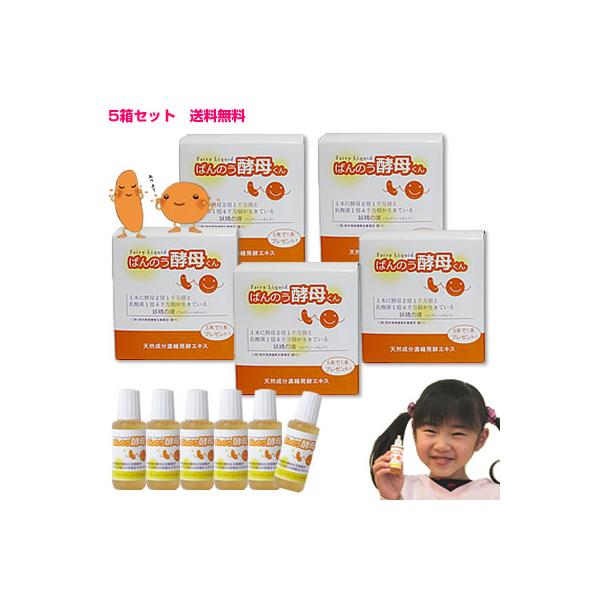 A[fA@΂̂yꂭ23ml×6{@uTZbgv@y݃v[gt@