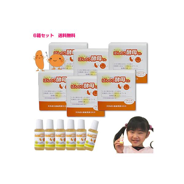 A[fA@΂̂yꂭ@23ml×6{@u6Zbgv@zց@