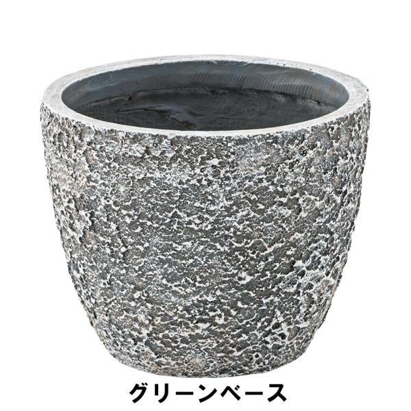 A O[x[X 25 s25 20cm K[f K[fpi Aؔ v^[