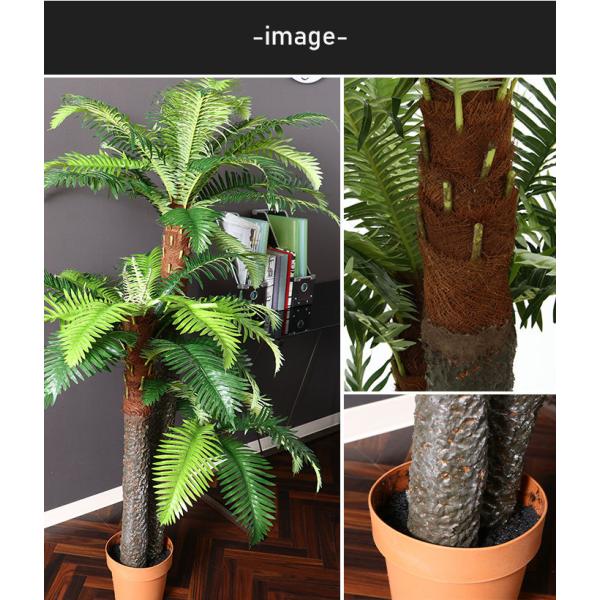 楽天スーパーセール フェイクグリーン 観葉植物 M5 Mgkfgb 目隠し インテリア 造花 7号鉢対応 147cm 高さ シダ 人工 その他 Labelians Fr