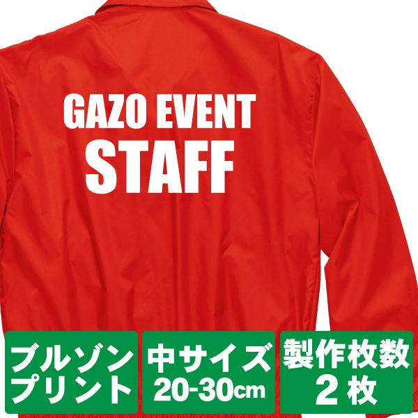 IWiAE^[vg/vg2/TCY1Fvg