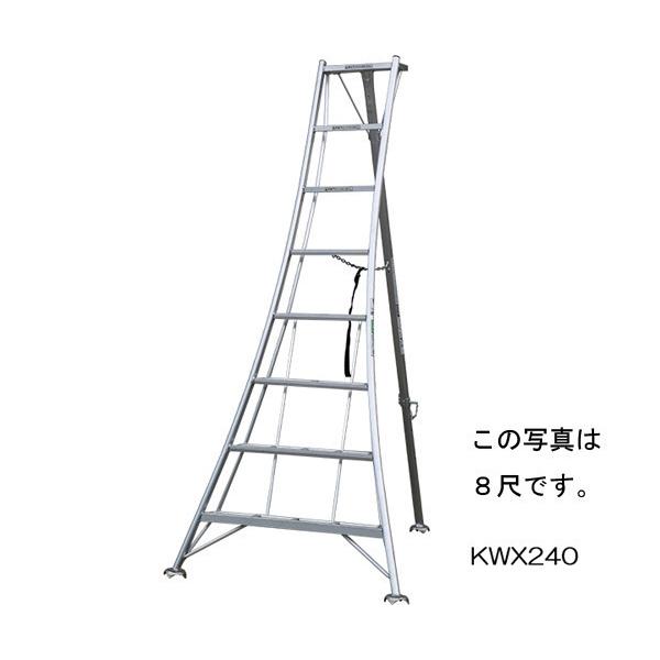 アルインコ アルミ製 三脚 10尺 荷重100kg 【送料無料】【ALC外部 