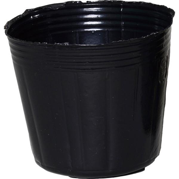 4000個組】日ポリ 金山工場 9cmポリポット 黒底1ケ穴 【個人宅OK