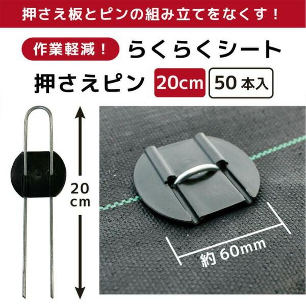 らくらくシート押さえピン　20ｃｍ　50本組
