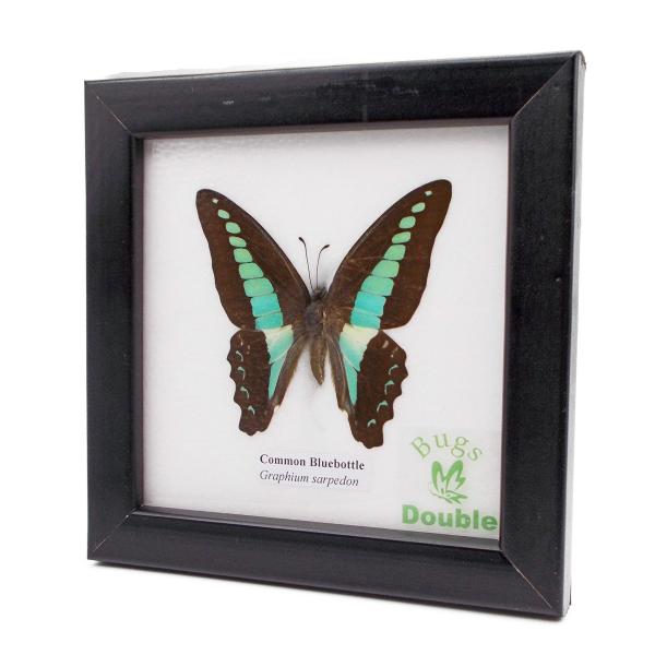 ■システム反映の都合上、ご購入後でも品切れになっている場合があります。その場合、ご登録のメールアドレスに通知致します。必ずご確認をお願いします。■サイズ・カラー等の記載が無い場合や複数記載がある場合があります。ご不明点は、ご購入前にご質問く...