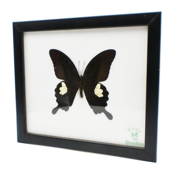 ■システム反映の都合上、ご購入後でも品切れになっている場合があります。その場合、ご登録のメールアドレスに通知致します。必ずご確認をお願いします。■サイズ・カラー等の記載が無い場合や複数記載がある場合があります。ご不明点は、ご購入前にご質問く...