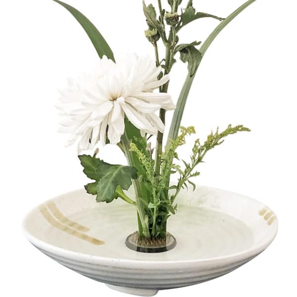 good-item-004_s-b09j8dk2n1- good-item-004_s-b09j8dk2n1-