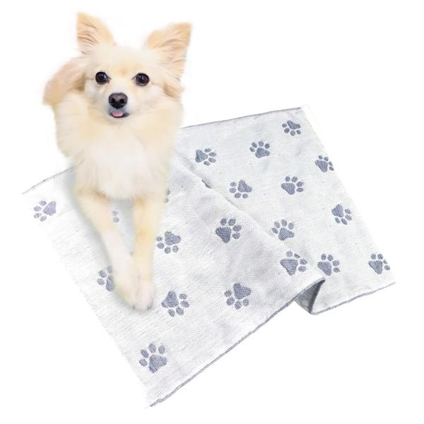 ■システム反映の都合上、ご購入後でも品切れになっている場合があります。その場合、ご登録のメールアドレスに通知致します。必ずご確認をお願いします。■サイズ・カラー等の記載が無い場合や複数記載がある場合があります。ご不明点は、ご購入前にご質問く...