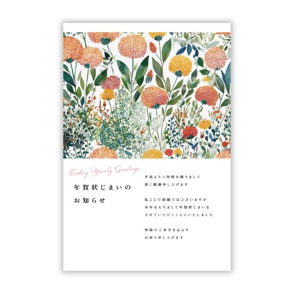 年賀状じまい 年賀状 ハガキ はがき 葉書 10枚 61K8EQ4maLL._AC_UL210_SR210,