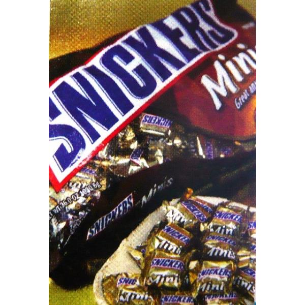 マースＭＡＲＳスニッカーズ　ミニチュア　1020ｇ　ＭＡＲＳ SNICKERS MINIATURES