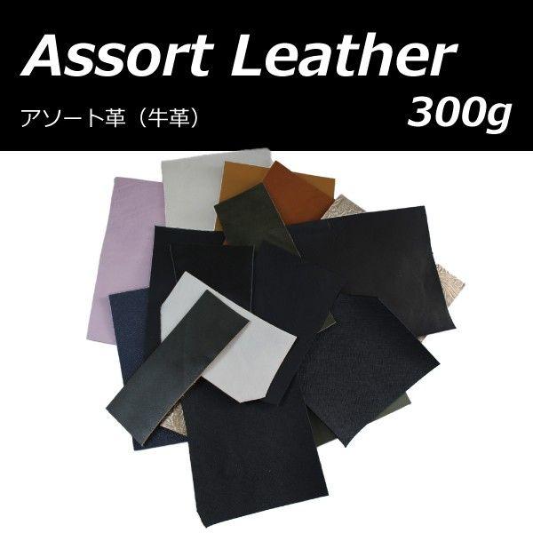 VR  v ͂ ܋l A\[g 300 [ U[Ntg ANZ̃|Cg