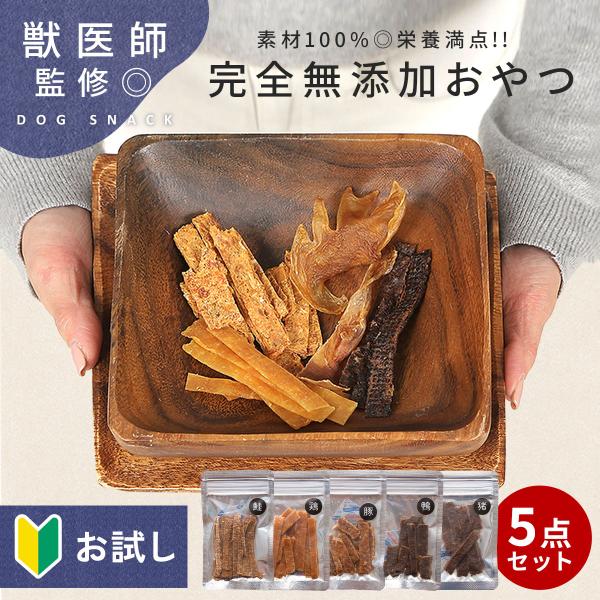 犬 おやつ 無添加 犬のおやつ 犬おやつ グルテンフリー ペット用品 国産 詰め合わせ ドッグフード 犬用 小型犬 中型犬 大型犬 シニア 手作りギフト td-1009-s5