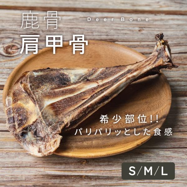 犬 鹿骨 おやつ 鹿の骨 鹿角 無添加 肩甲骨 希少 ジビエ 犬用おやつ 骨 デンタルケア ドッグフード 小型犬 中型犬 大型犬 国産 低脂肪 高たんぱく td-1013-m