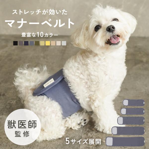 獣医師監修 わんちゃんに優しい設計 犬 マナーベルト パンツ マナーパンツ ベルト マナーウェア マナー用品 おむつ 介護 ドックウェア 服 しつけ td-1030